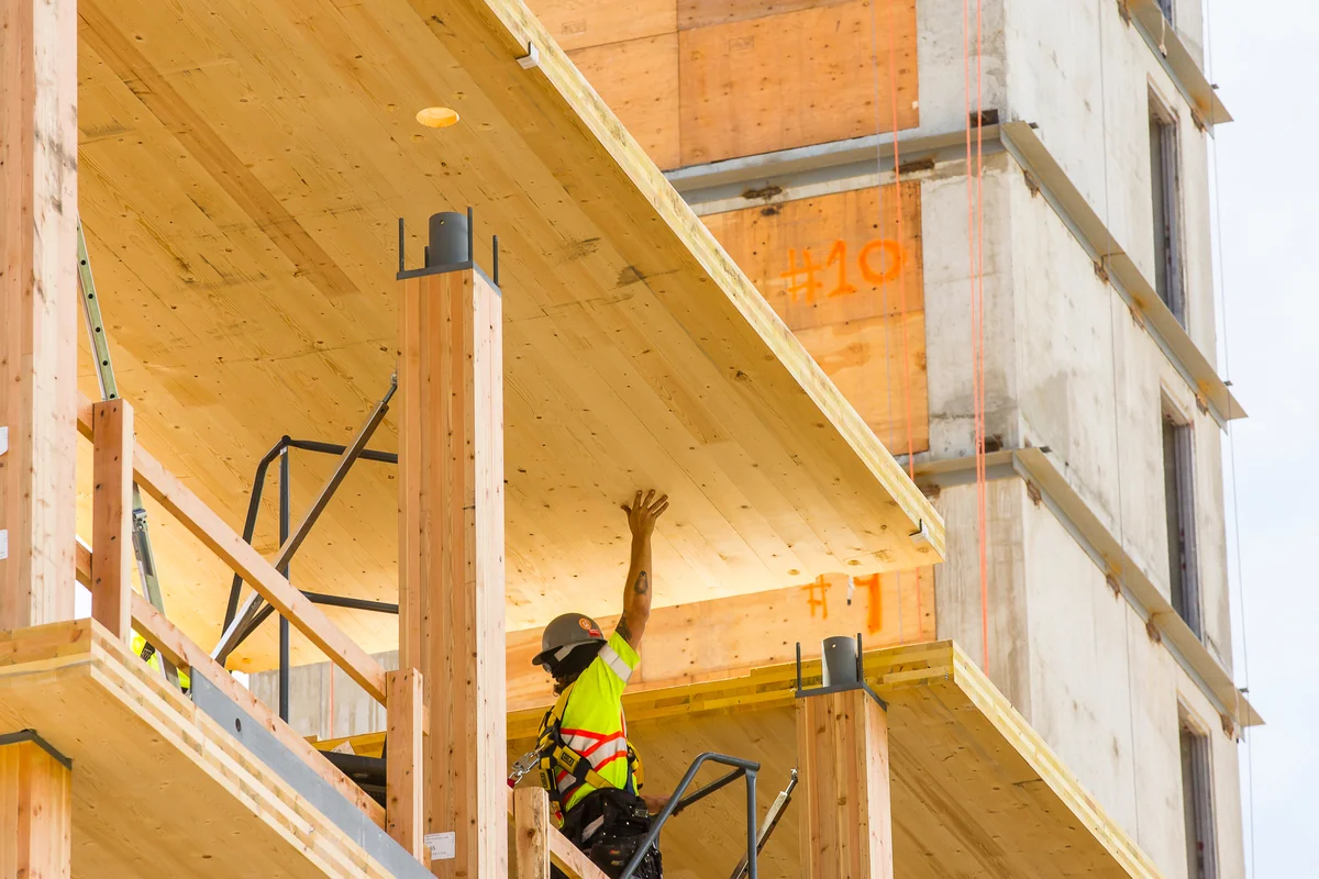 Ontwerp, ontvang advies en bestel CLT voor jouw project